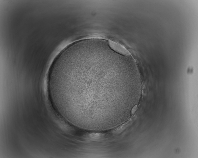 X0000102770152200808251100