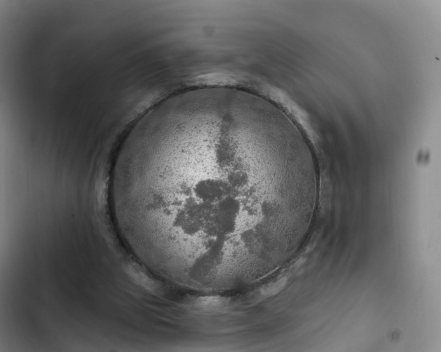 X0000102770153200808251100