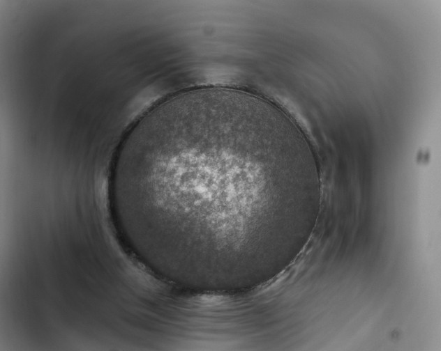 X0000102770154200808251100