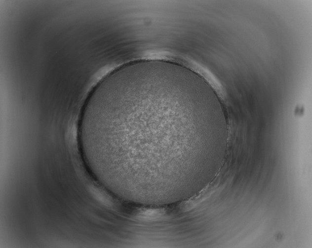 X0000102770155200808251100