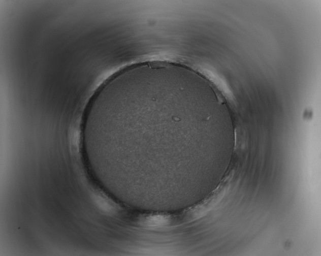 X0000102770156200808251100