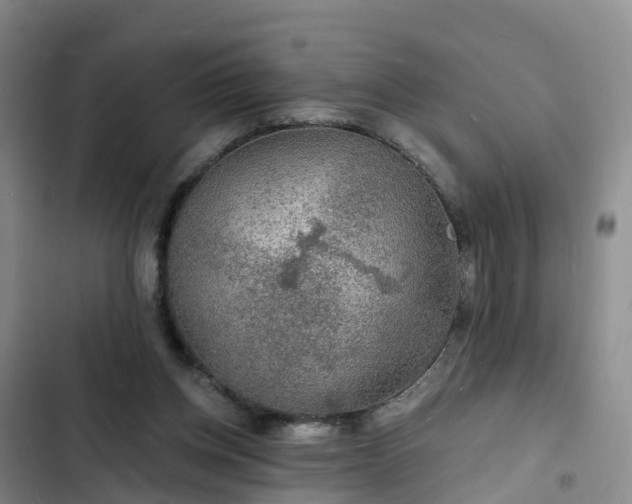 X0000102770158200808251100