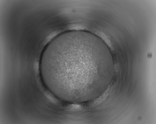 X0000102770159200808251100