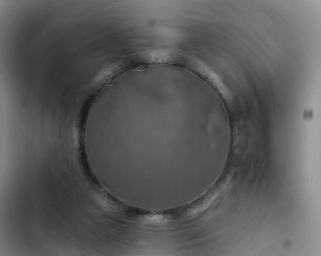 X0000102770161200808251100