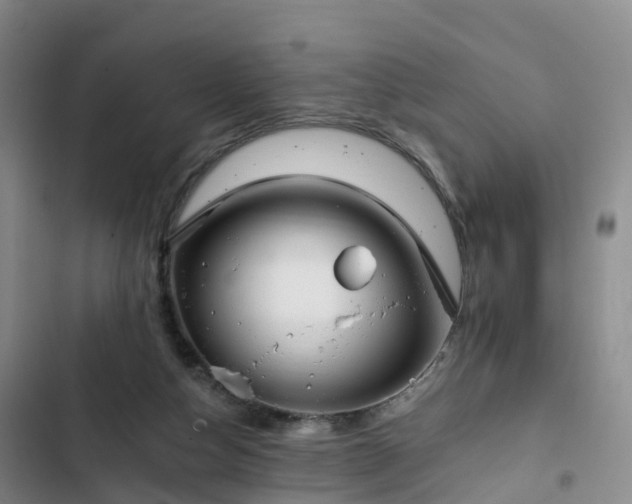 X0000102770162200808251100