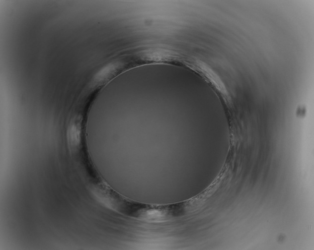 X0000102770163200808251100