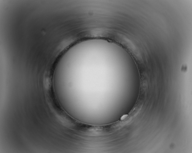 X0000102770164200808251100