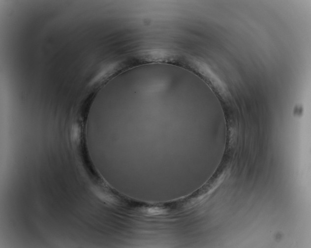 X0000102770165200808251100