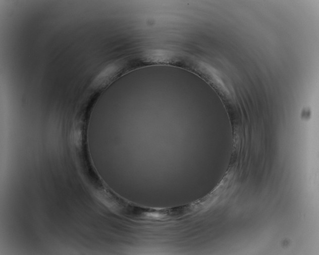 X0000102770167200808251100