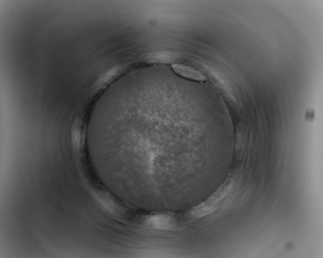 X0000102770168200808251100