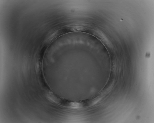 X0000102770169200808251100