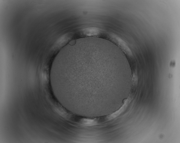 X0000102770170200808251100