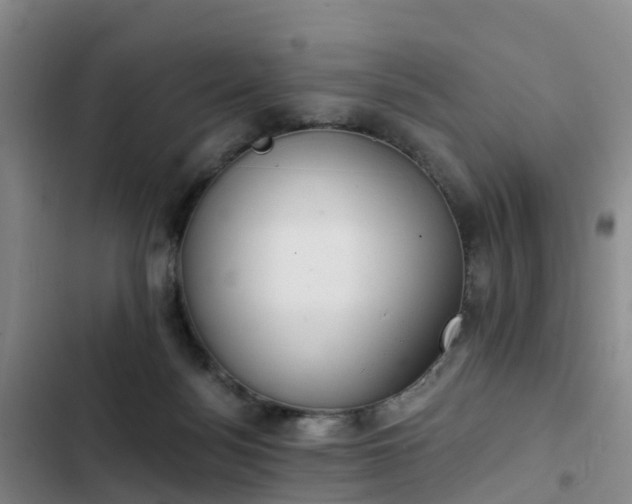 X0000102770172200808251100