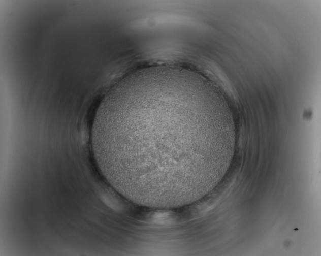 X0000102770173200808251100