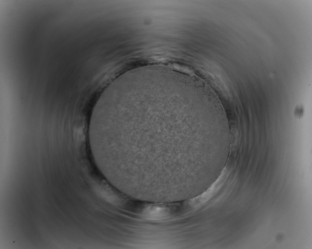 X0000102770174200808251100