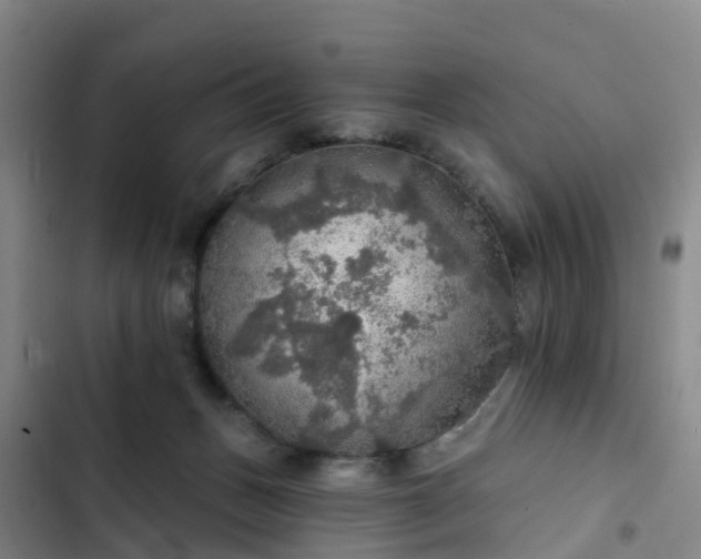 X0000102770175200808251100