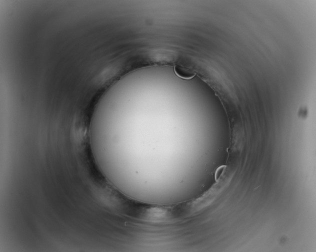 X0000102770176200808251100