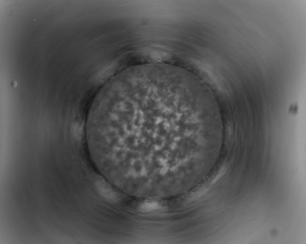 X0000102770177200808251100