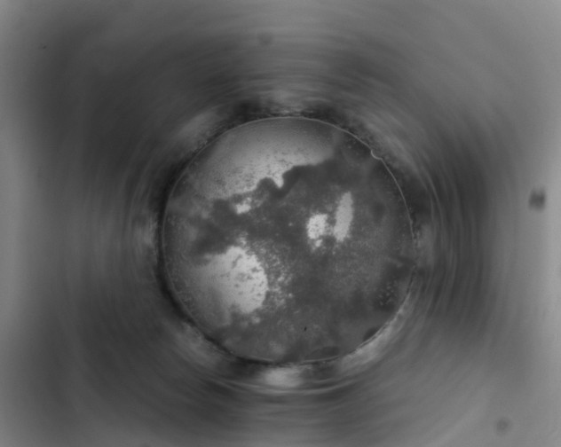 X0000102770178200808251100