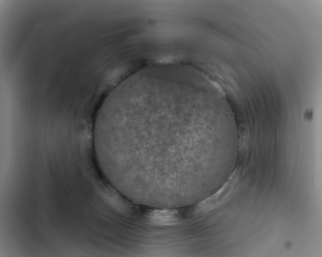 X0000102770179200808251100