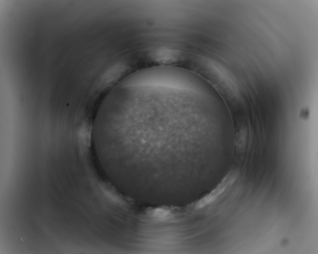 X0000102770180200808251100