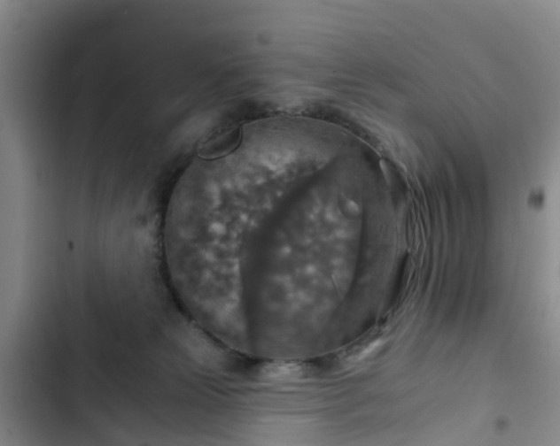 X0000102770181200808251100