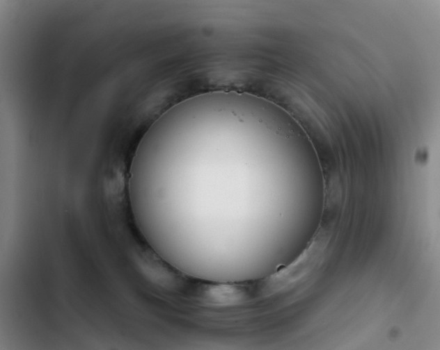 X0000102770183200808251101