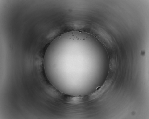 X0000102770184200808251101