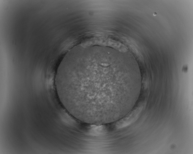 X0000102770185200808251101