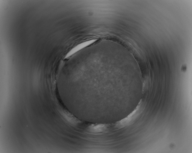 X0000102770186200808251101