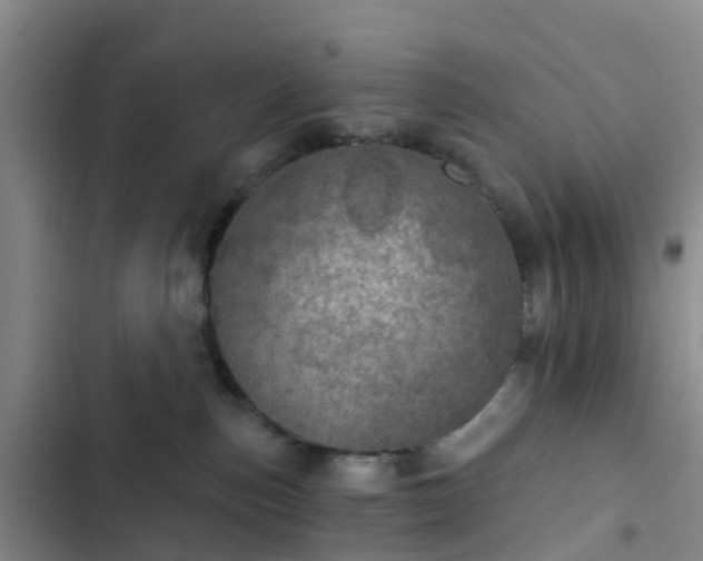 X0000102770187200808251101