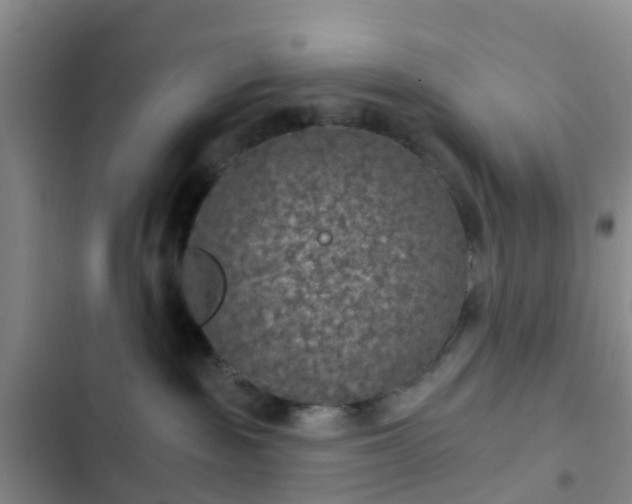 X0000102770189200808251101