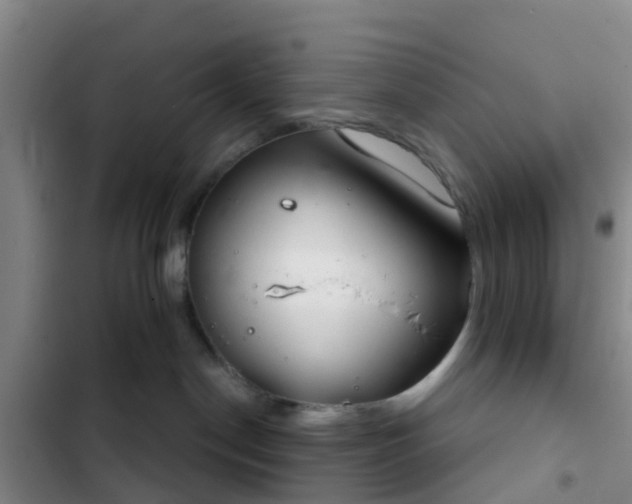 X0000102770190200808251101