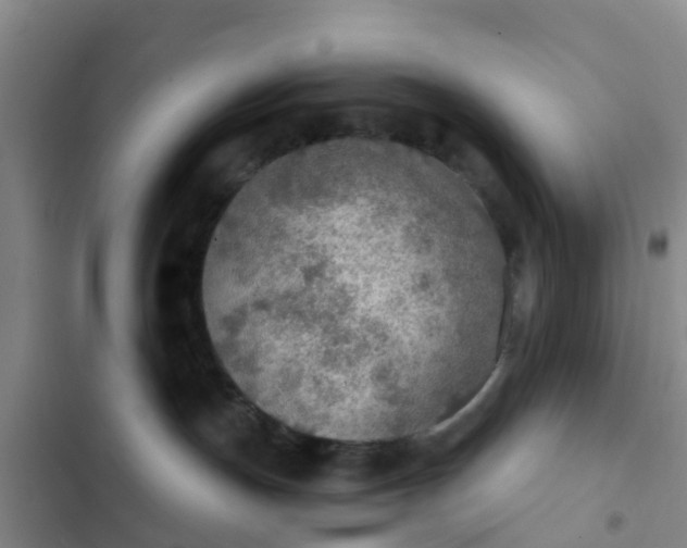 X0000102770191200808251101