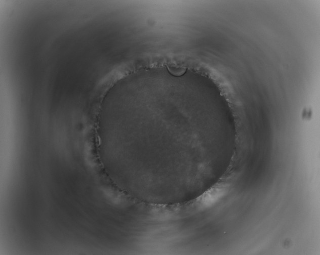 X0000102770192200808251101