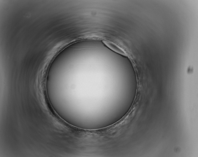 X0000102770193200808251100