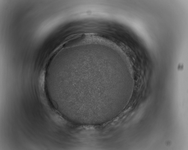 X0000102770194200808251100