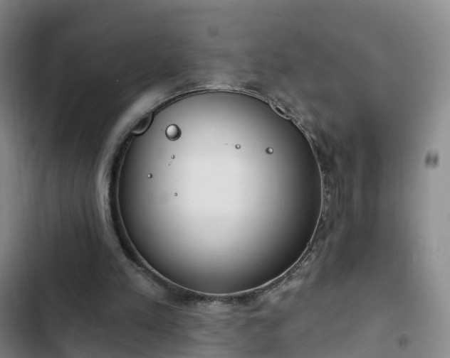 X0000102770197200808251100