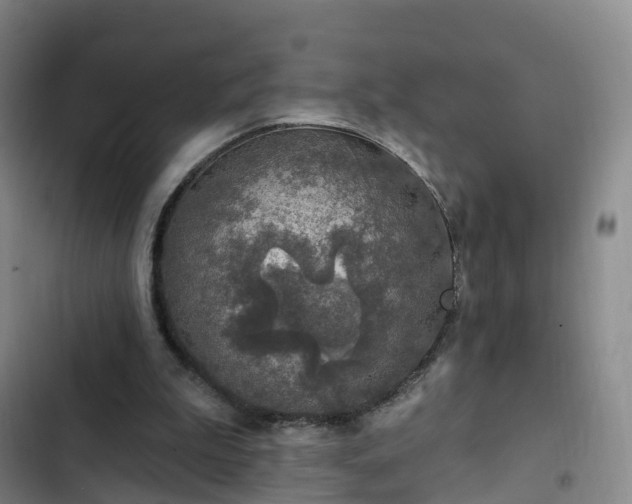 X0000102770199200808251100