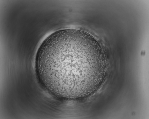 X0000102770200200808251100