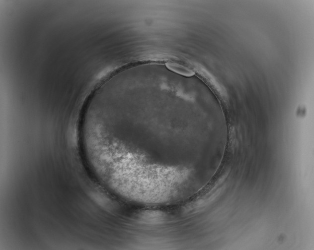 X0000102770203200808251100