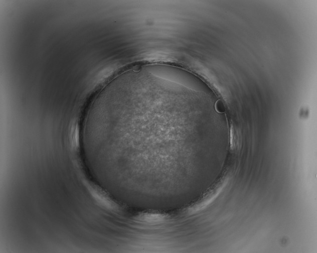 X0000102770205200808251100