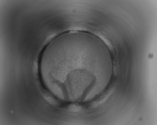 X0000102770207200808251100