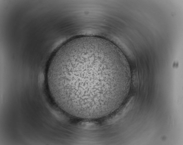 X0000102770208200808251100