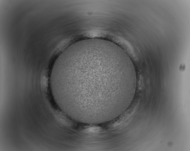 X0000102770210200808251100