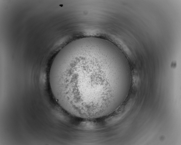 X0000102770211200808251100