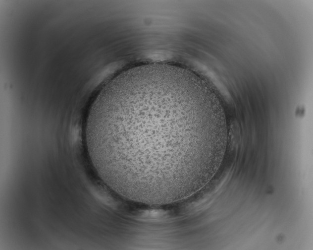 X0000102770212200808251100