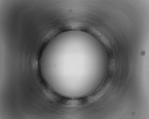 X0000102770213200808251100