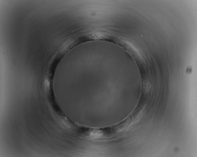 X0000102770214200808251100