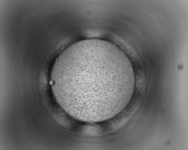 X0000102770215200808251100